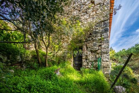 Moradia t4 - aljubarrota