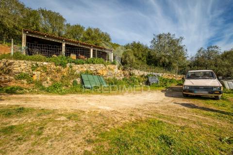 Moradia t4 - aljubarrota