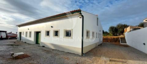 Empresa de batata frita caseira em fortios