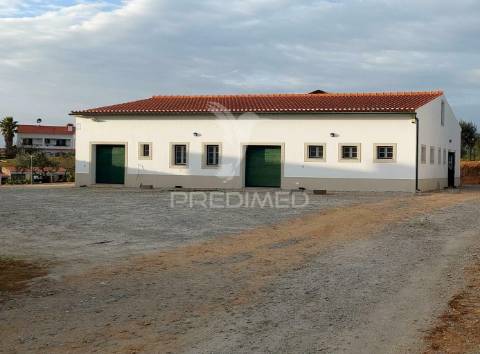 Empresa de batata frita caseira em fortios