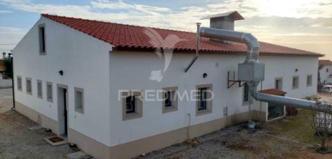 Empresa de batata frita caseira em fortios