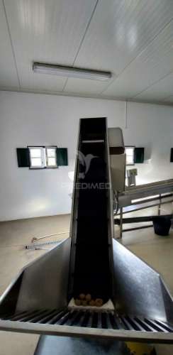 Empresa de batata frita caseira em fortios