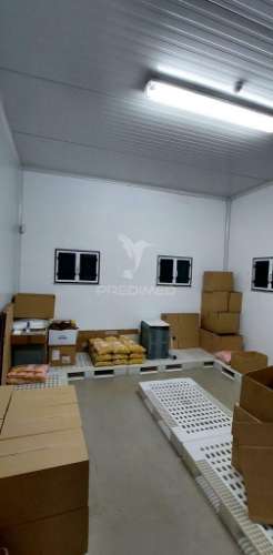 Empresa de batata frita caseira em fortios