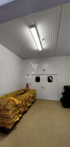 Empresa de batata frita caseira em fortios