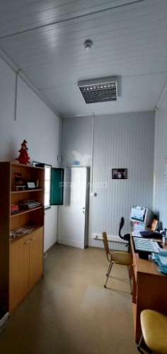 Empresa de batata frita caseira em fortios