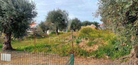 Empresa de batata frita caseira em fortios