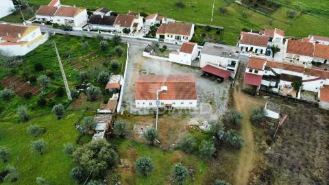 Empresa de batata frita caseira em fortios