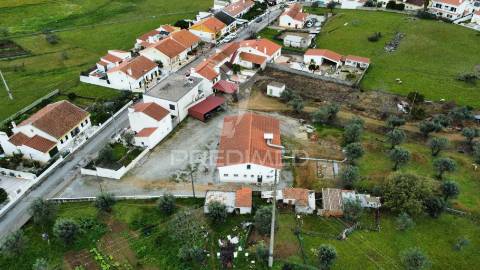 Empresa de batata frita caseira em fortios