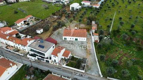 Empresa de batata frita caseira em fortios