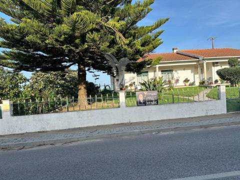 Moradias + terreno rústico