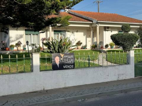 Moradias + terreno rústico