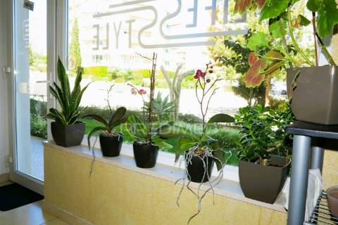 Cabeleireira na praia da rocha