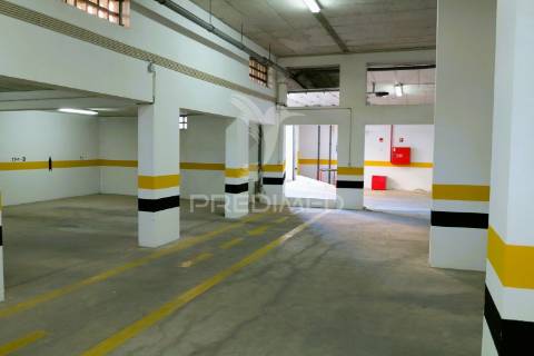 Cabeleireira na praia da rocha