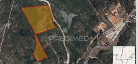 Terreno misto com uma área de 52.600.00m2 vale da trave / santarém