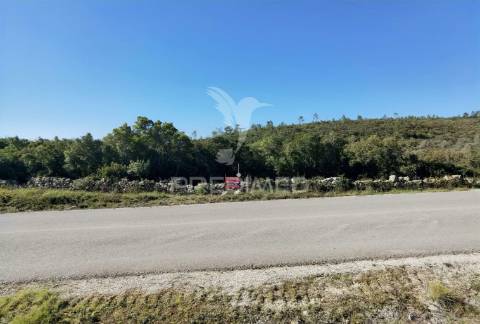 Terreno misto com uma área de 52.600.00m2 vale da trave / santarém