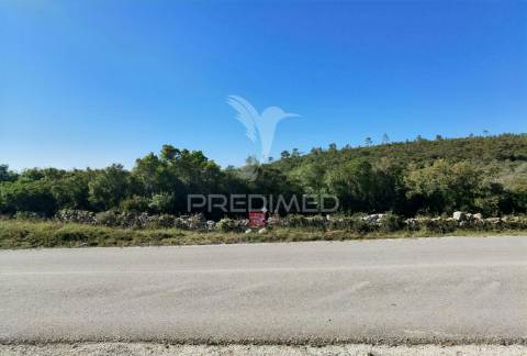 Terreno misto com uma área de 52.600.00m2 vale da trave / santarém