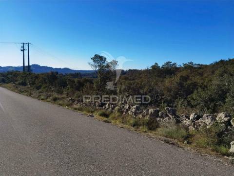 Terreno misto com uma área de 52.600.00m2 vale da trave / santarém