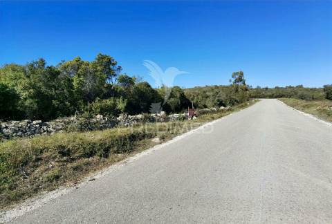 Terreno misto com uma área de 52.600.00m2 vale da trave / santarém