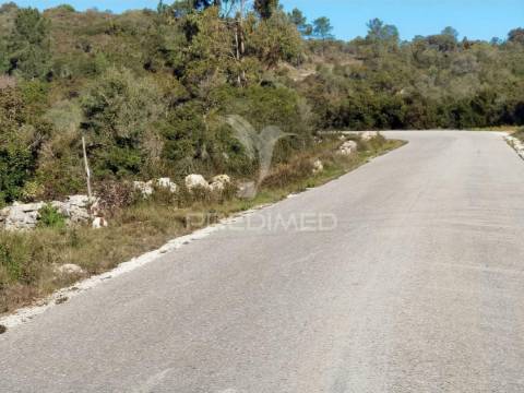 Terreno misto com uma área de 52.600.00m2 vale da trave / santarém