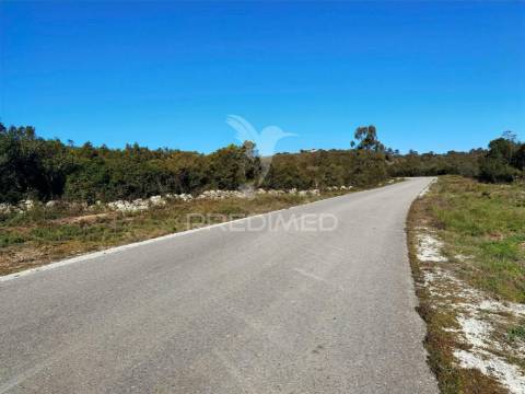 Terreno misto com uma área de 52.600.00m2 vale da trave / santarém