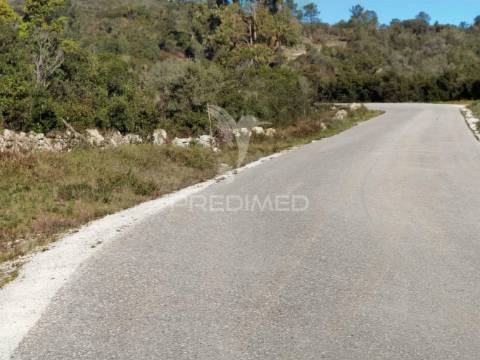Terreno misto com uma área de 52.600.00m2 vale da trave / santarém