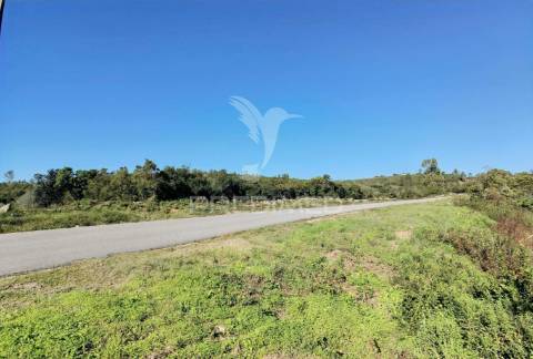 Terreno misto com uma área de 52.600.00m2 vale da trave / santarém