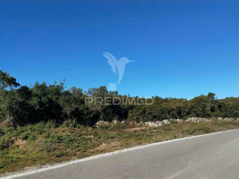 Terreno misto com uma área de 52.600.00m2 vale da trave / santarém