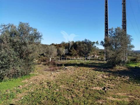 Terreno misto com uma área de 52.600.00m2 vale da trave / santarém