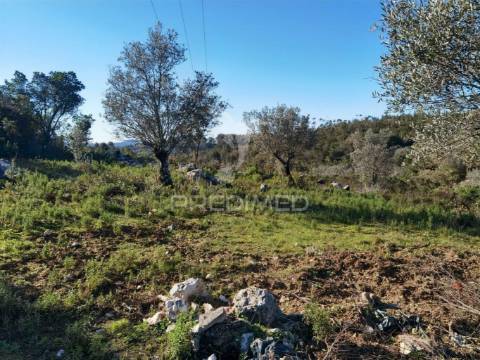 Terreno misto com uma área de 52.600.00m2 vale da trave / santarém