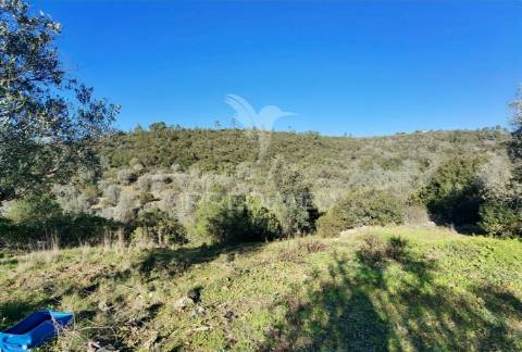 Terreno misto com uma área de 52.600.00m2 vale da trave / santarém
