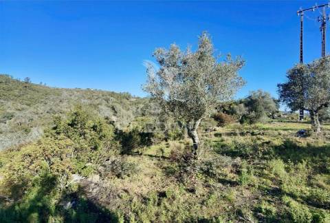 Terreno misto com uma área de 52.600.00m2 vale da trave / santarém