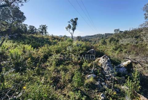 Terreno misto com uma área de 52.600.00m2 vale da trave / santarém