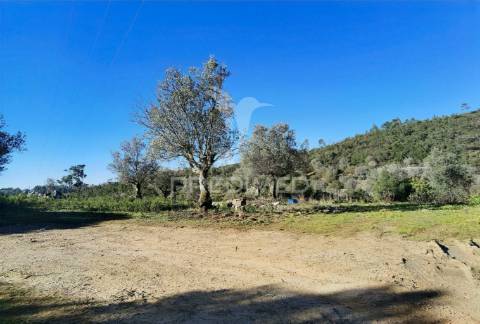 Terreno misto com uma área de 52.600.00m2 vale da trave / santarém