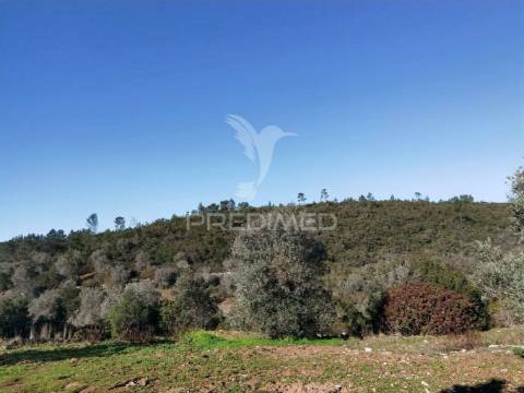 Terreno misto com uma área de 52.600.00m2 vale da trave / santarém