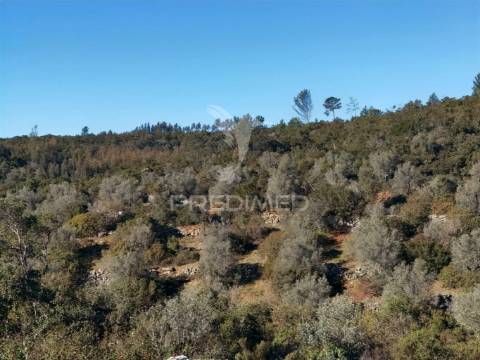 Terreno misto com uma área de 52.600.00m2 vale da trave / santarém