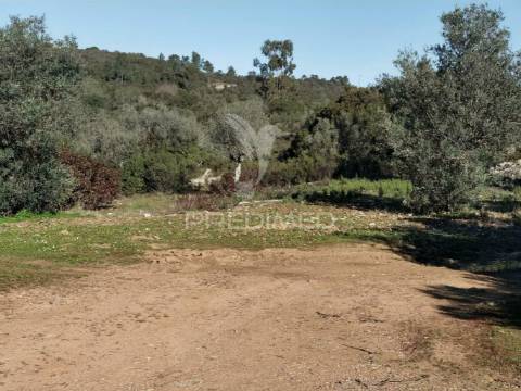 Terreno misto com uma área de 52.600.00m2 vale da trave / santarém