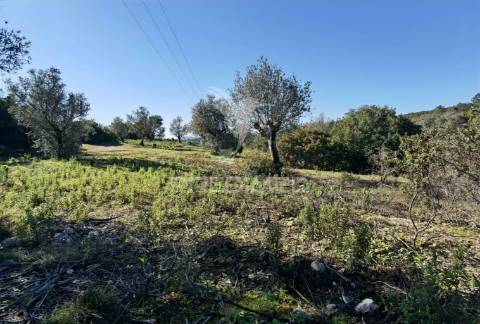Terreno misto com uma área de 52.600.00m2 vale da trave / santarém