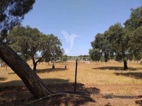 Reservado terreno 7000 m2 com armazém