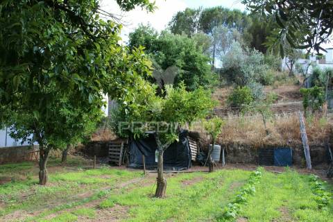 Terreno urbano com 517.5, m2