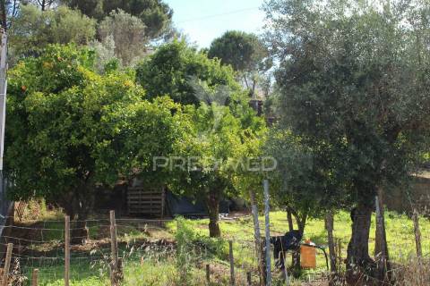 Terreno urbano com 517.5, m2