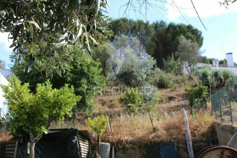 Terreno urbano com 517.5, m2