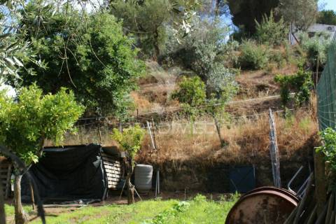 Terreno urbano com 517.5, m2