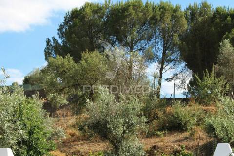 Terreno urbano com 517.5, m2