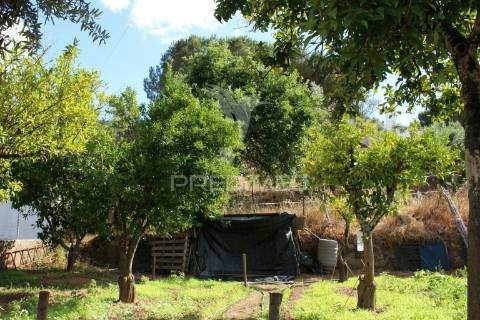 Terreno urbano com 517.5, m2