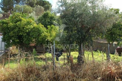 Terreno urbano com 517.5, m2