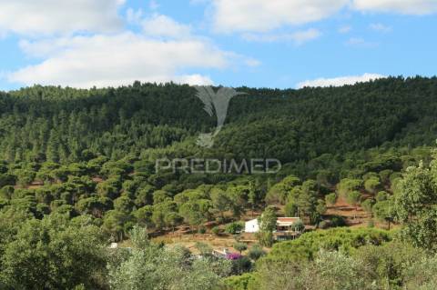 Terreno urbano com 517.5, m2