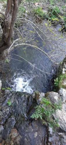 Terreno urbano com 517.5, m2