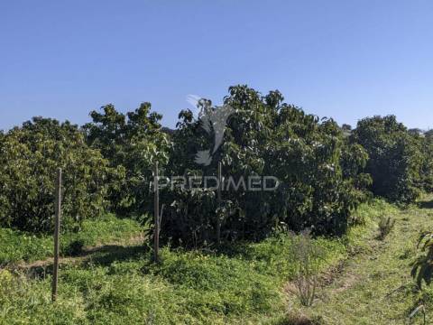 Terreno misto e ruína em vila nova de cacela, constroi 300m2