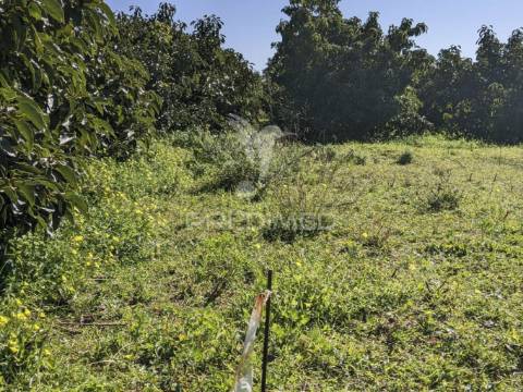 Terreno misto e ruína em vila nova de cacela, constroi 300m2