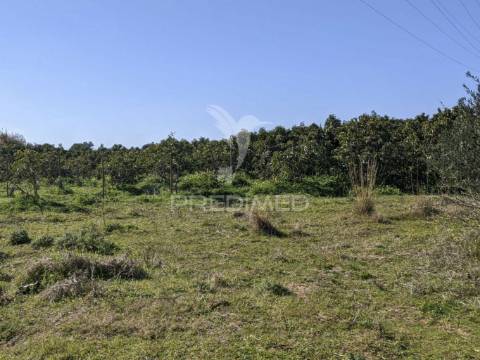 Terreno misto e ruína em vila nova de cacela, constroi 300m2